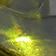 Gold/Peridot