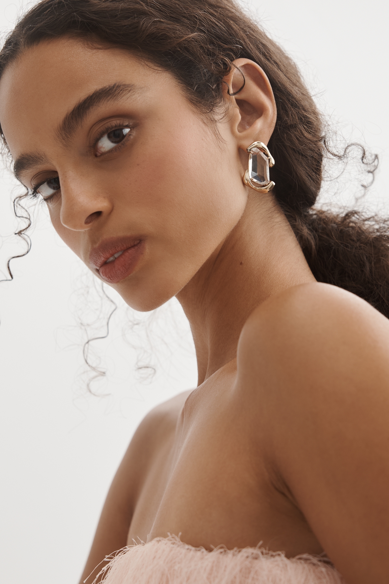 Framed Crystal Drop Earrings