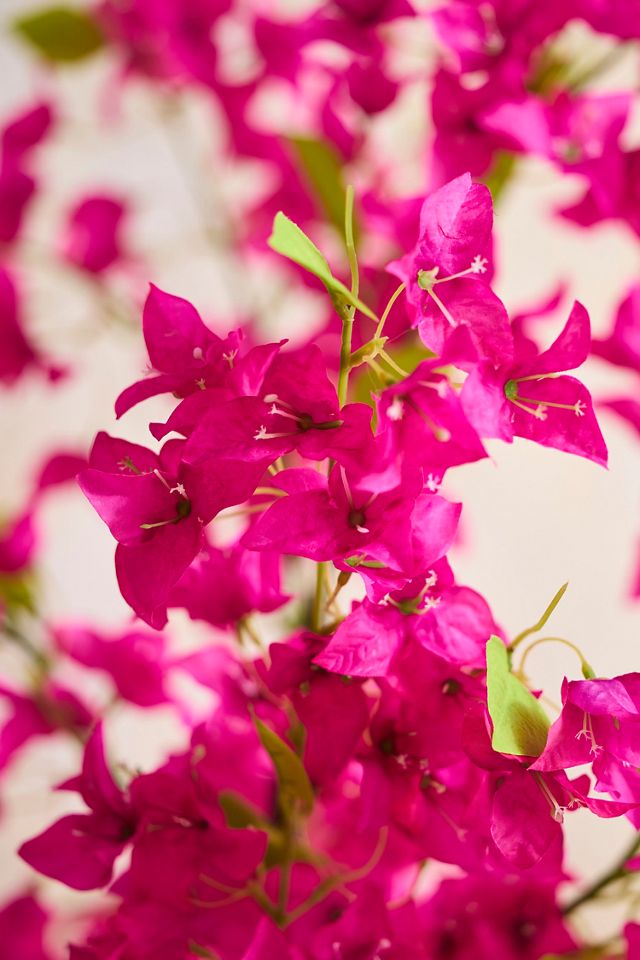 Faux Bougainvillea Tree #1