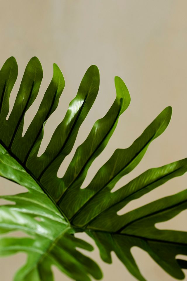 Faux Tree Philodendron #1