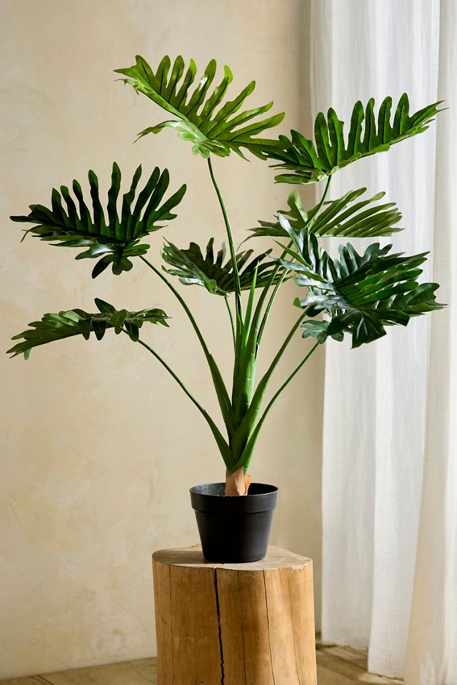 Faux Tree Philodendron #2