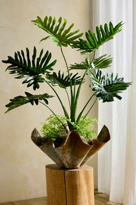 Faux Tree Philodendron