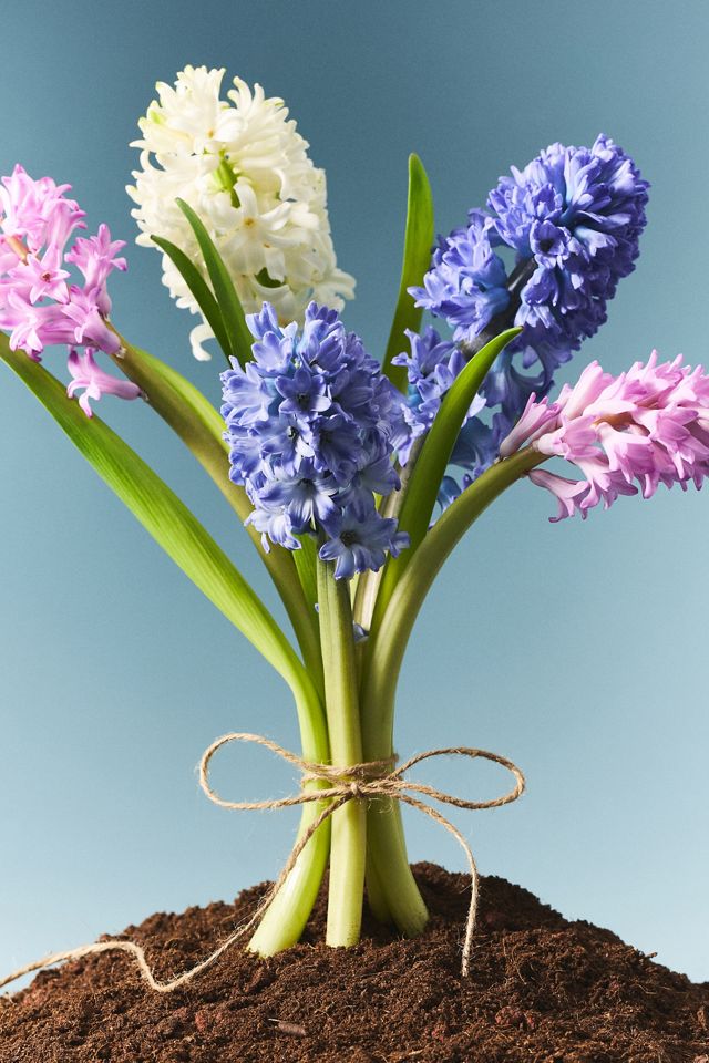 Candela in Vetro Maeve Bassa e Larga con Bouquet di Fiori di Campo Floreali #1