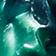 Dark Green Tree