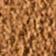 Camel Suede