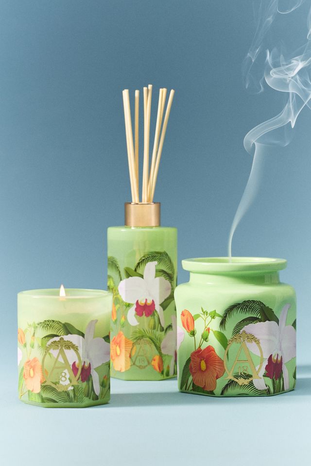 Apothecary 18 Floral Orchid & Amber Ceramic Candle | AnthroHome