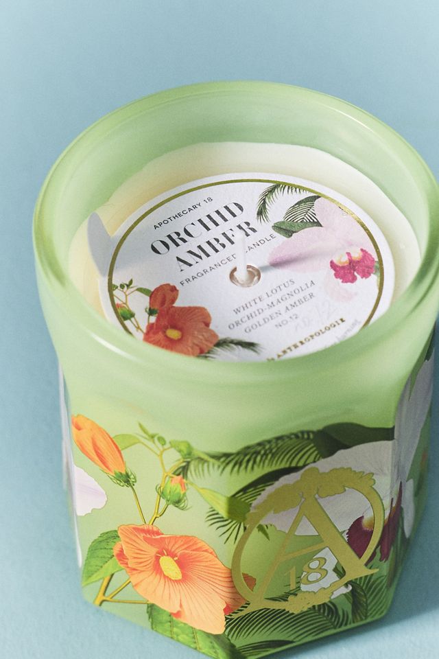Apothecary 18 Floral Orchid & Amber Glass Candle | AnthroHome
