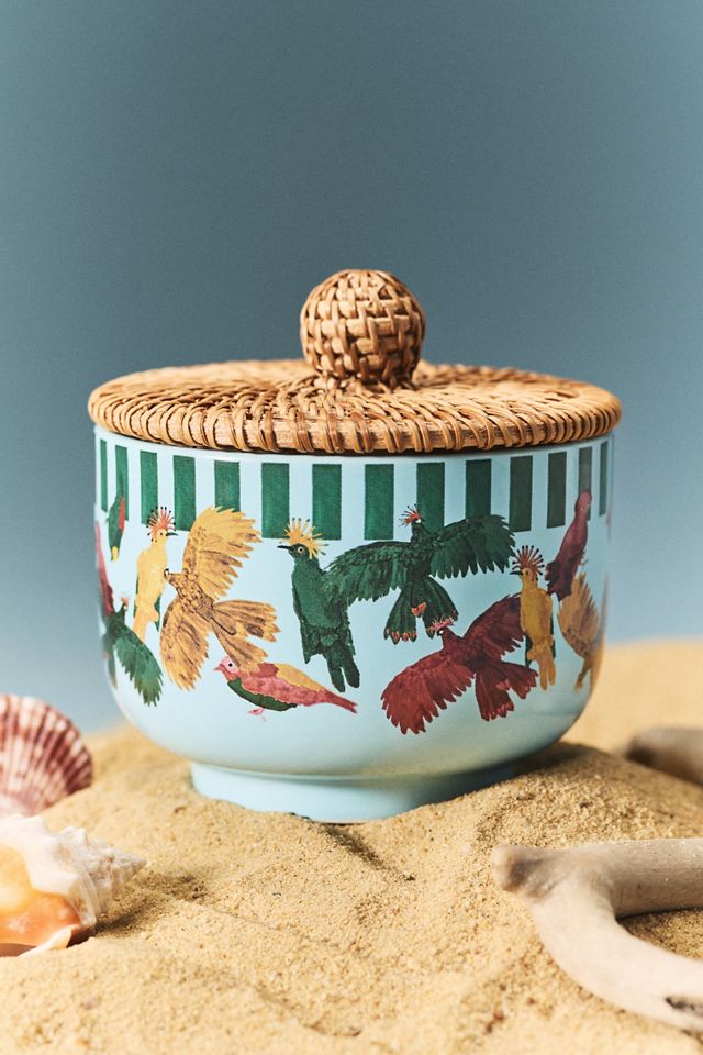 Farm Rio x Anthropologie Fresh Ocean Waves & Bergamot Ceramic
