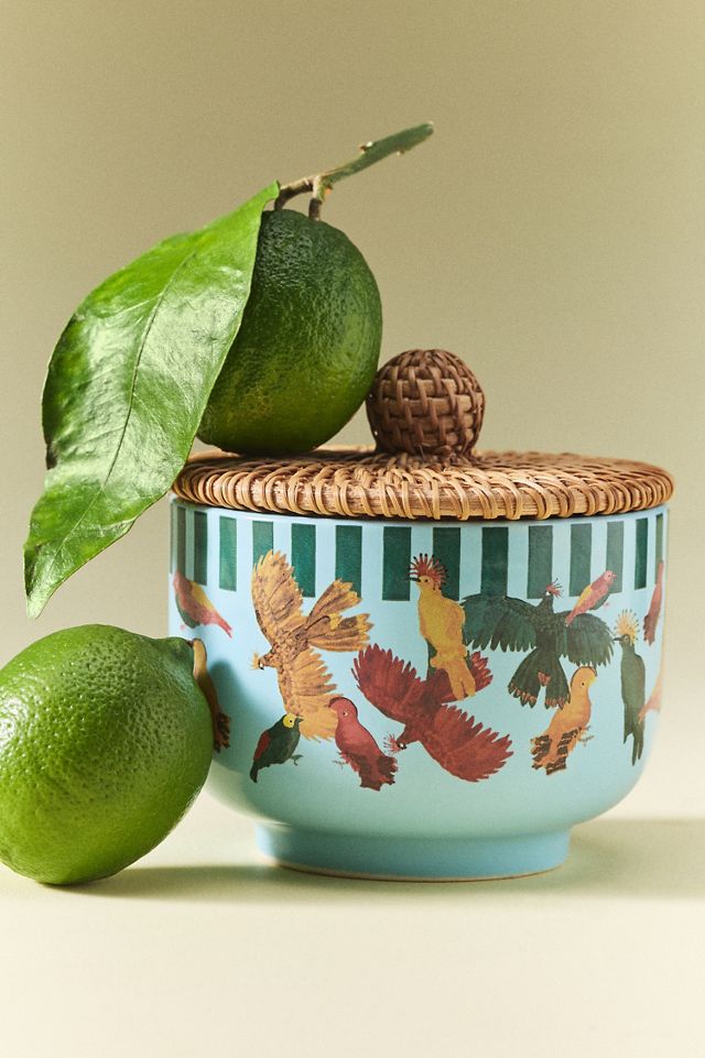 Farm Rio x Anthropologie Fresh Ocean Waves & Bergamot Ceramic Candle #3