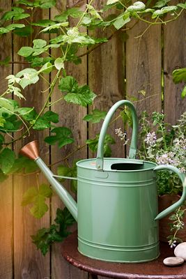 Enameled Iron 2 Gallon Watering Can