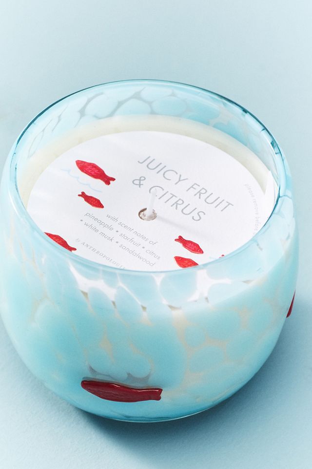 Candied Fish Summer Icon Fruity Juicy Fruit & Citrus Glass Candle #1