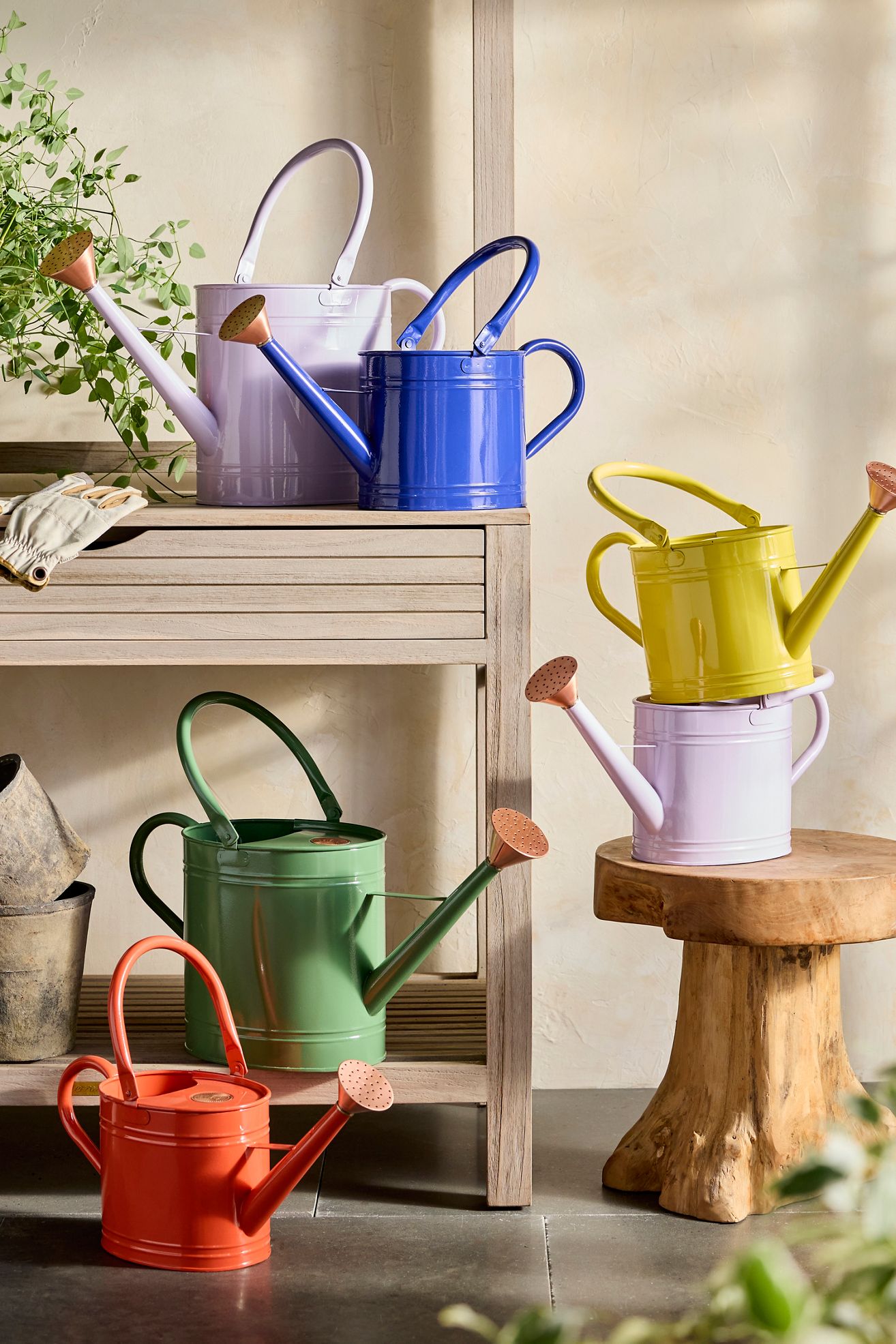 Enameled Iron 2 Liter Watering Can - Lavender, 2 litre