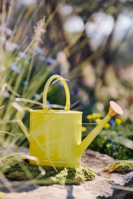 Enameled Iron 2 Liter Watering Can - canary