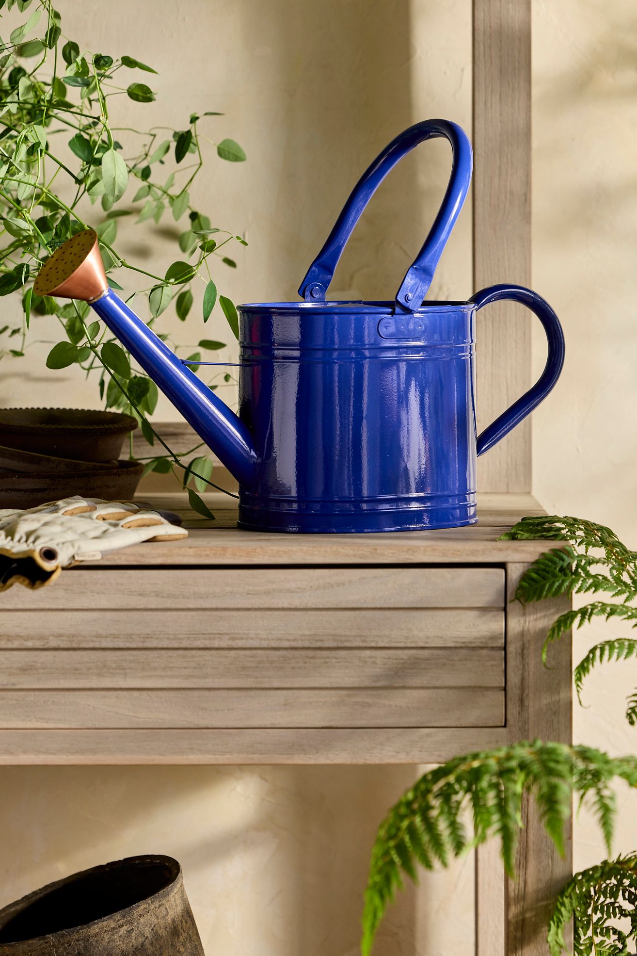 Enameled Iron 2 Liter Watering Can - Blueberry, 2 litre