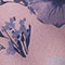 Periwinkle Poppy