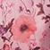 Rose Poppy