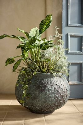 Decorative Planters & Plant Stands | AnthroHome
