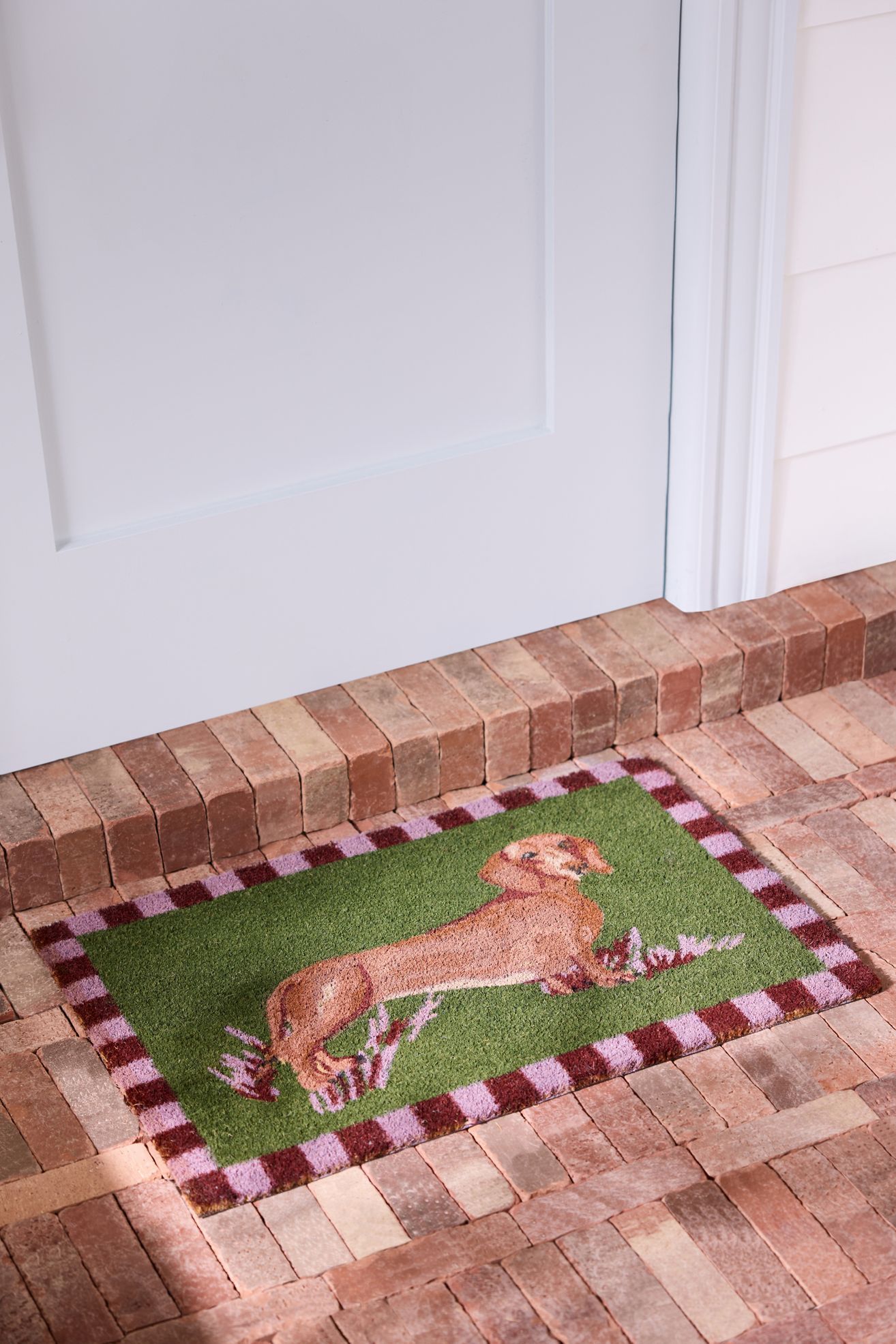 Portobello Dog Coir Printed Doormat - Green, Standard, Rectangle
