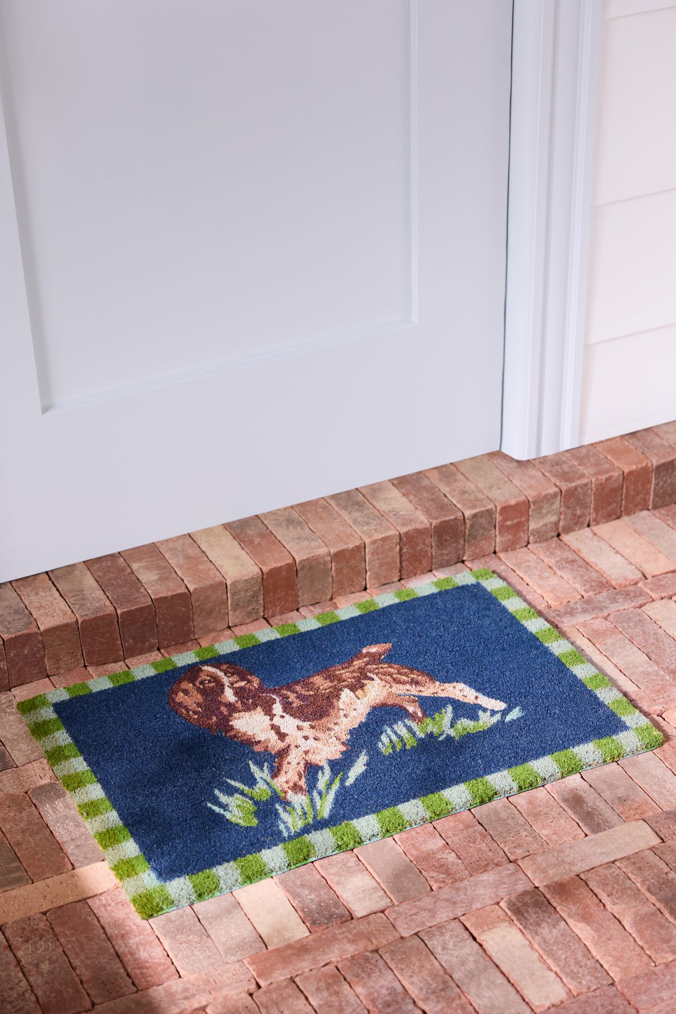 Portobello Dog Coir Printed Doormat - Blue, Rectangle