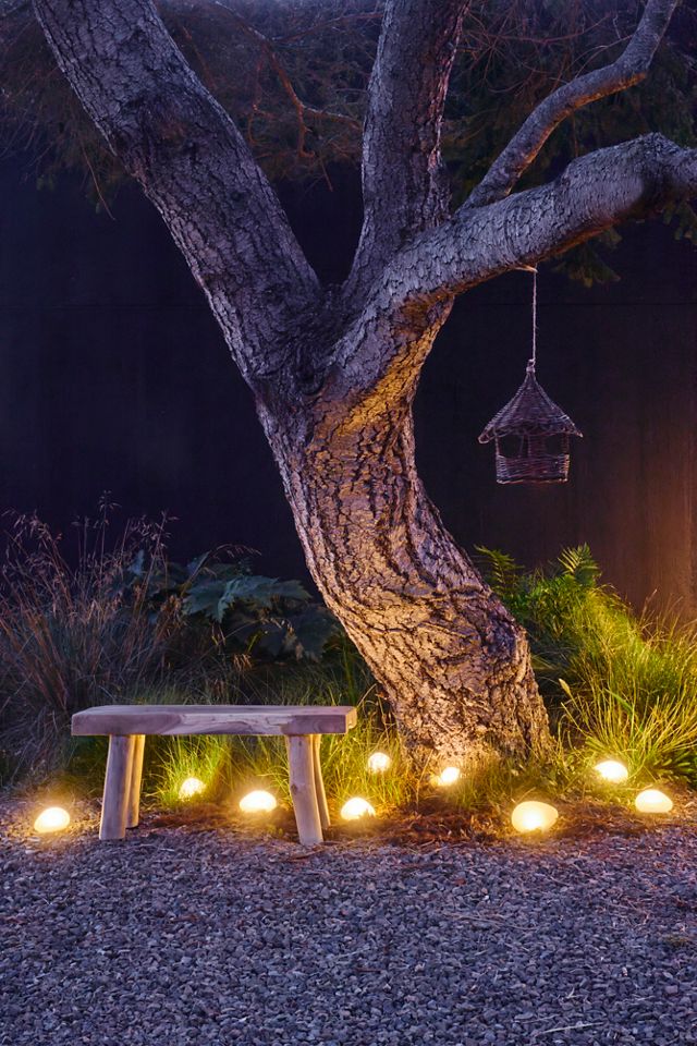 Teak Root Mudroom Bench #5