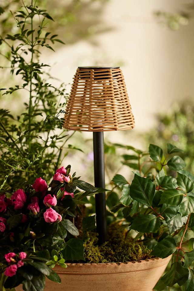 Rattan Shade Solar Pathway Stake Light | Anthropologie