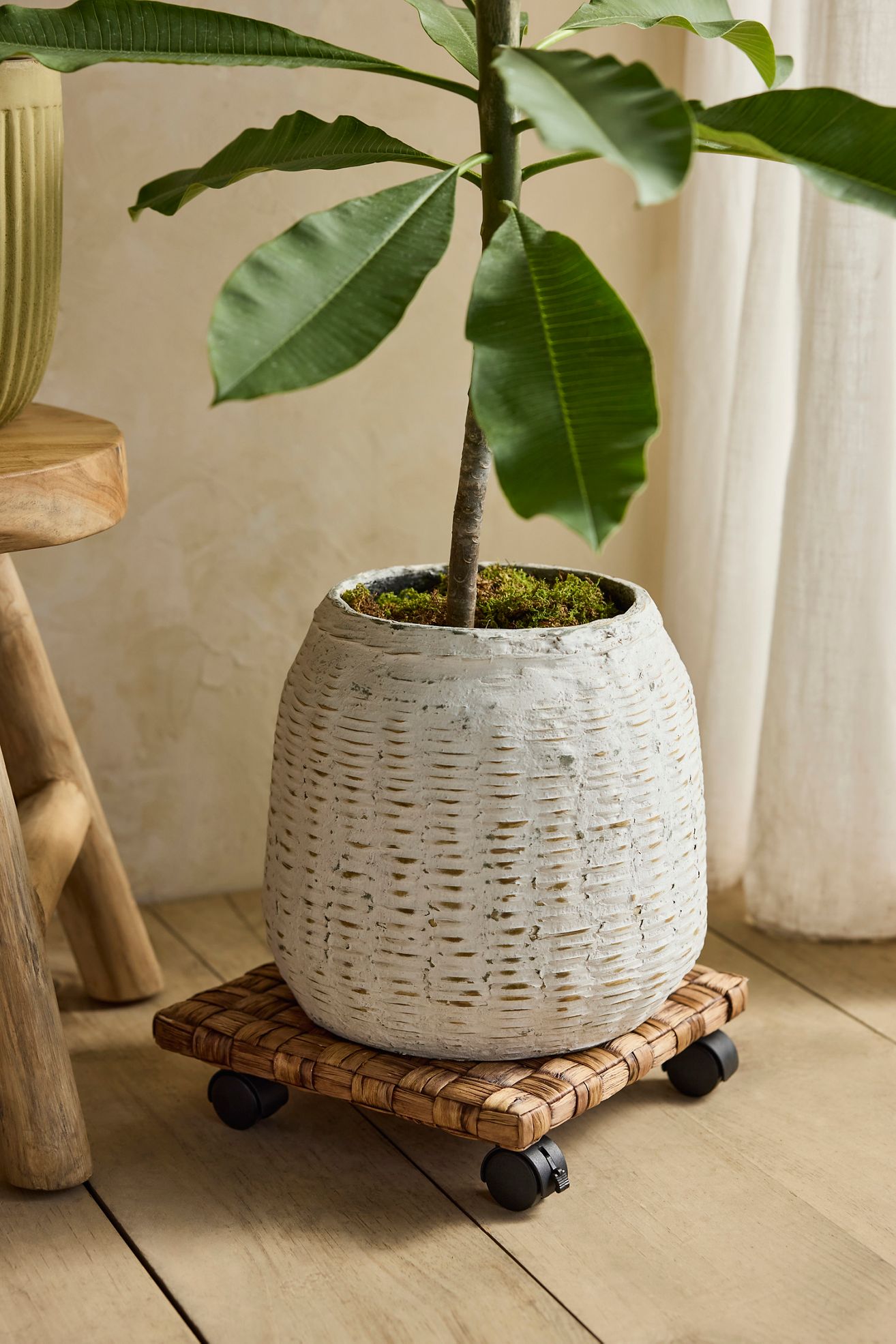 Woven Plant Dolly - Brown, One Size