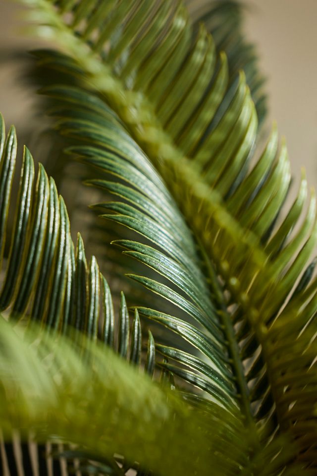 Faux Potted Cycas Palm #3