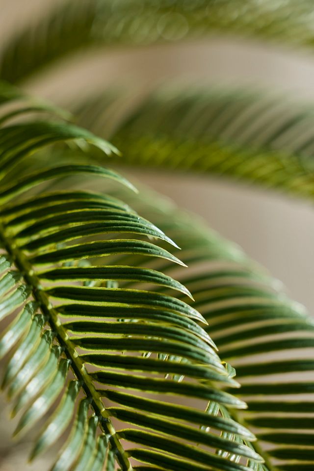 Faux Potted Cycas Palm #1