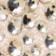 Seashell