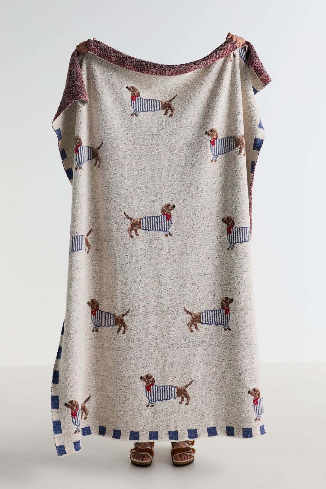 Parisian Dachshund Dog Cotton Knit Throw - Blue Pattern, 50" x 70"