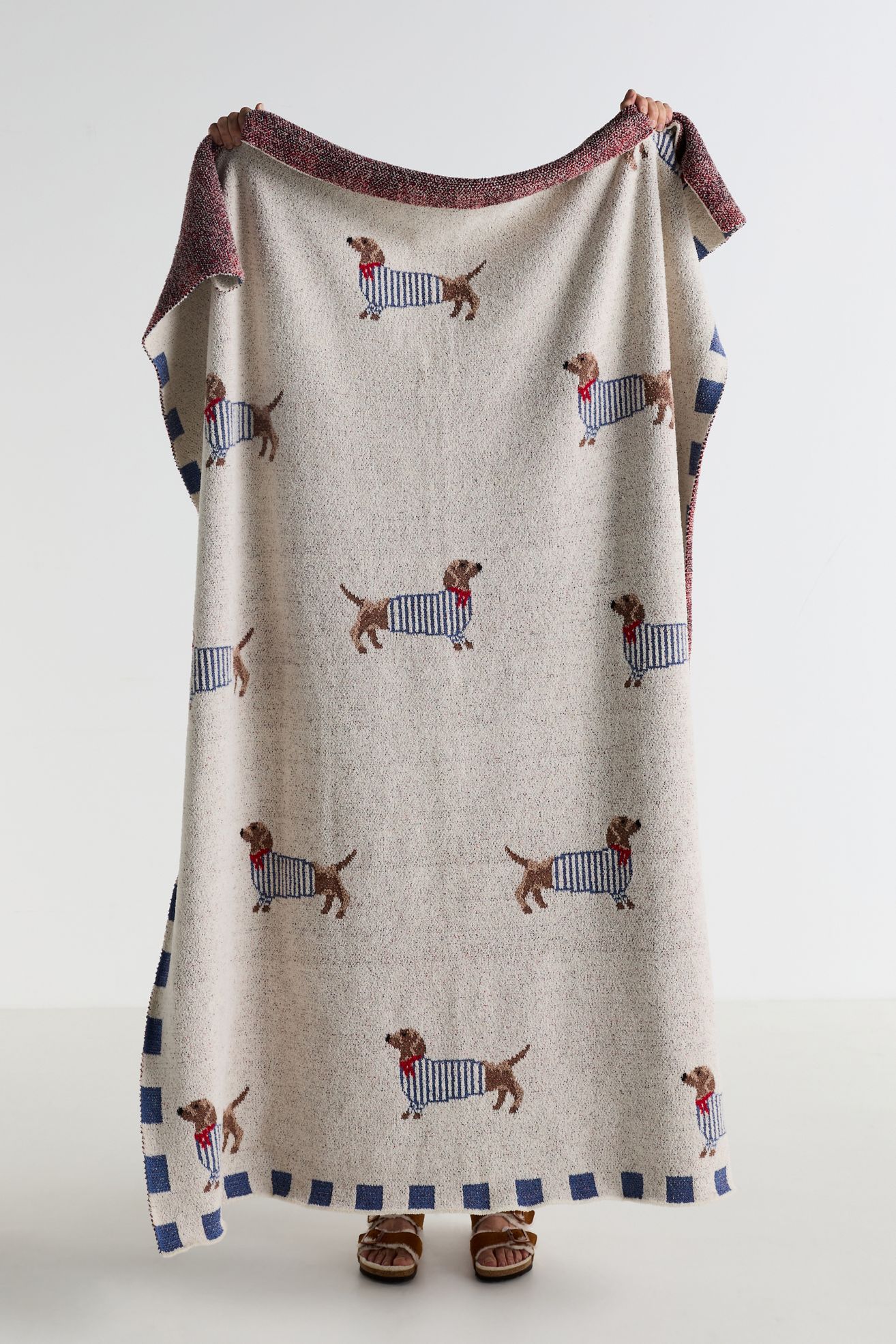 Parisian Dachshund Dog Cotton Knit Throw - Blue Pattern, Standard, 50" x 70"