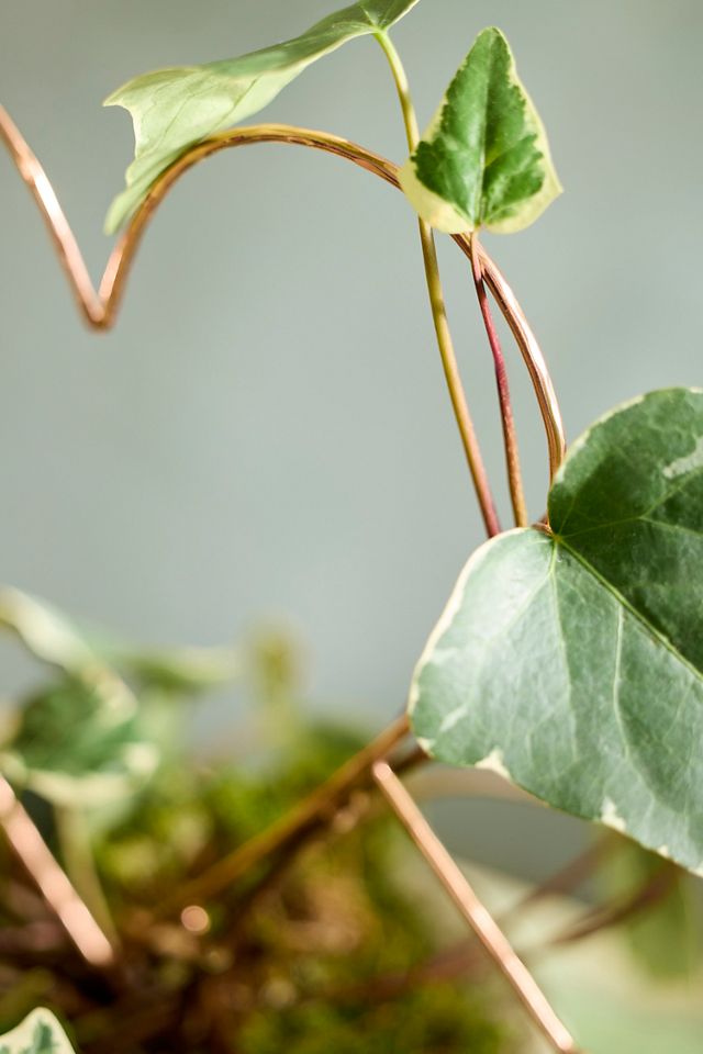 Heart + Arrow Copper Trellis #2