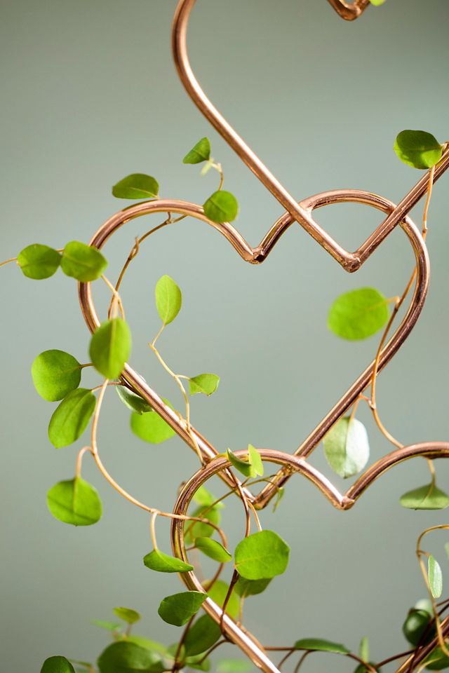 Stacked Hearts Copper Trellis #1