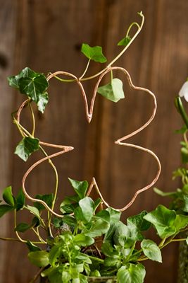 Shamrock Wire Trellis