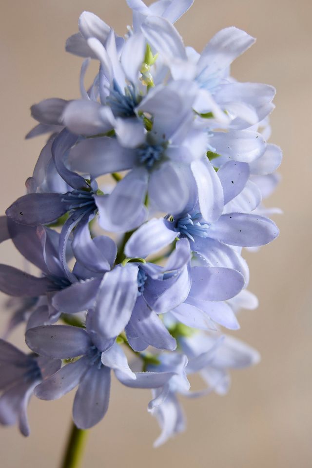 Faux Hyacinth Stem #1