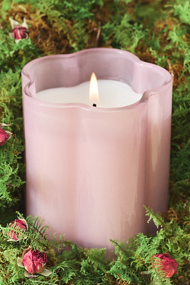 Maeve Woody Salted Woods & Rose Glass Candle | AnthroHome