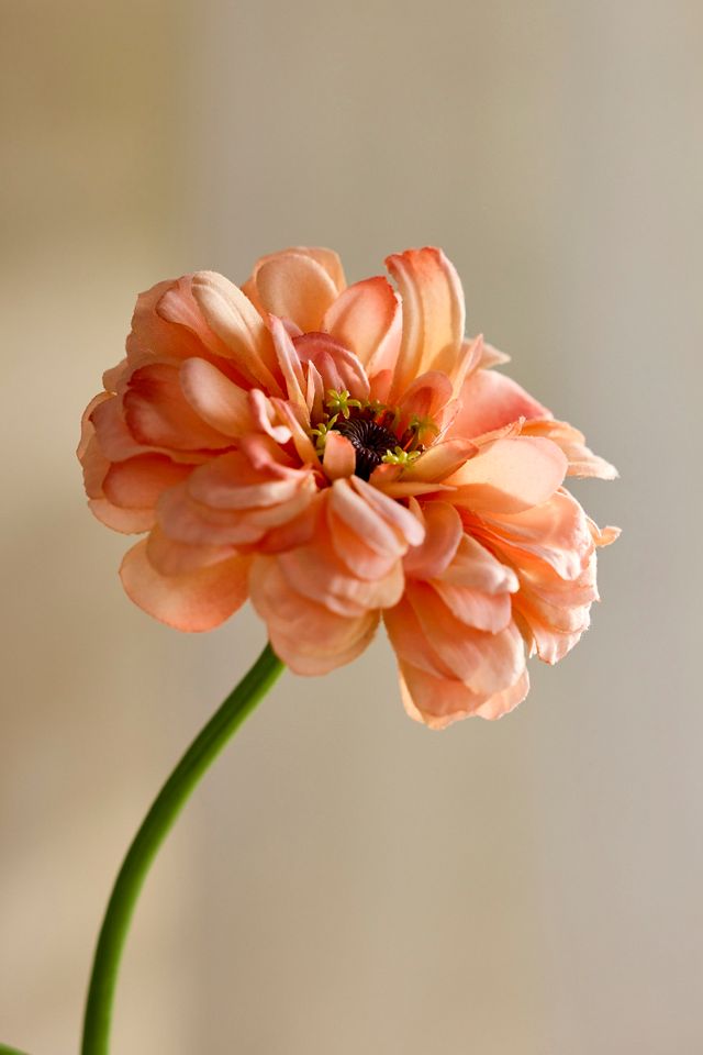 Faux Peach Zinnia Spray #1