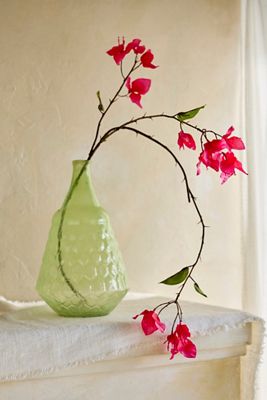Terrain at Anthropologie | Anthropologie