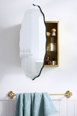 Coquille Wall Mount Medicine Cabinet Mirror