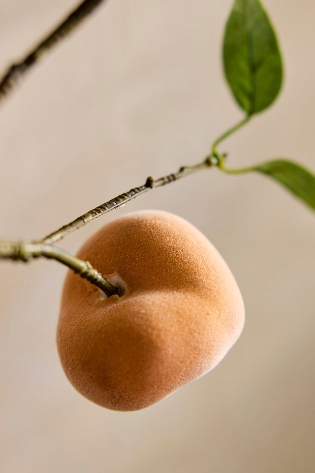 Faux Peach Spray #1