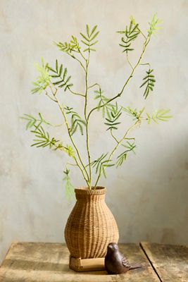 Faux Mimosa Spray