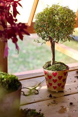 Heart Lattice Iron Pot