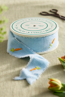 Embroidered Carrot Velvet Ribbon | Anthropologie