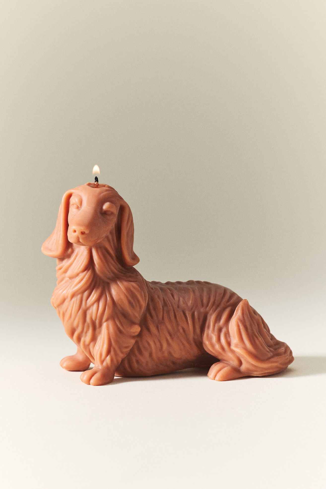 Davie Ocho Dachshund Shaped Wax Candle - Brown, One Size
