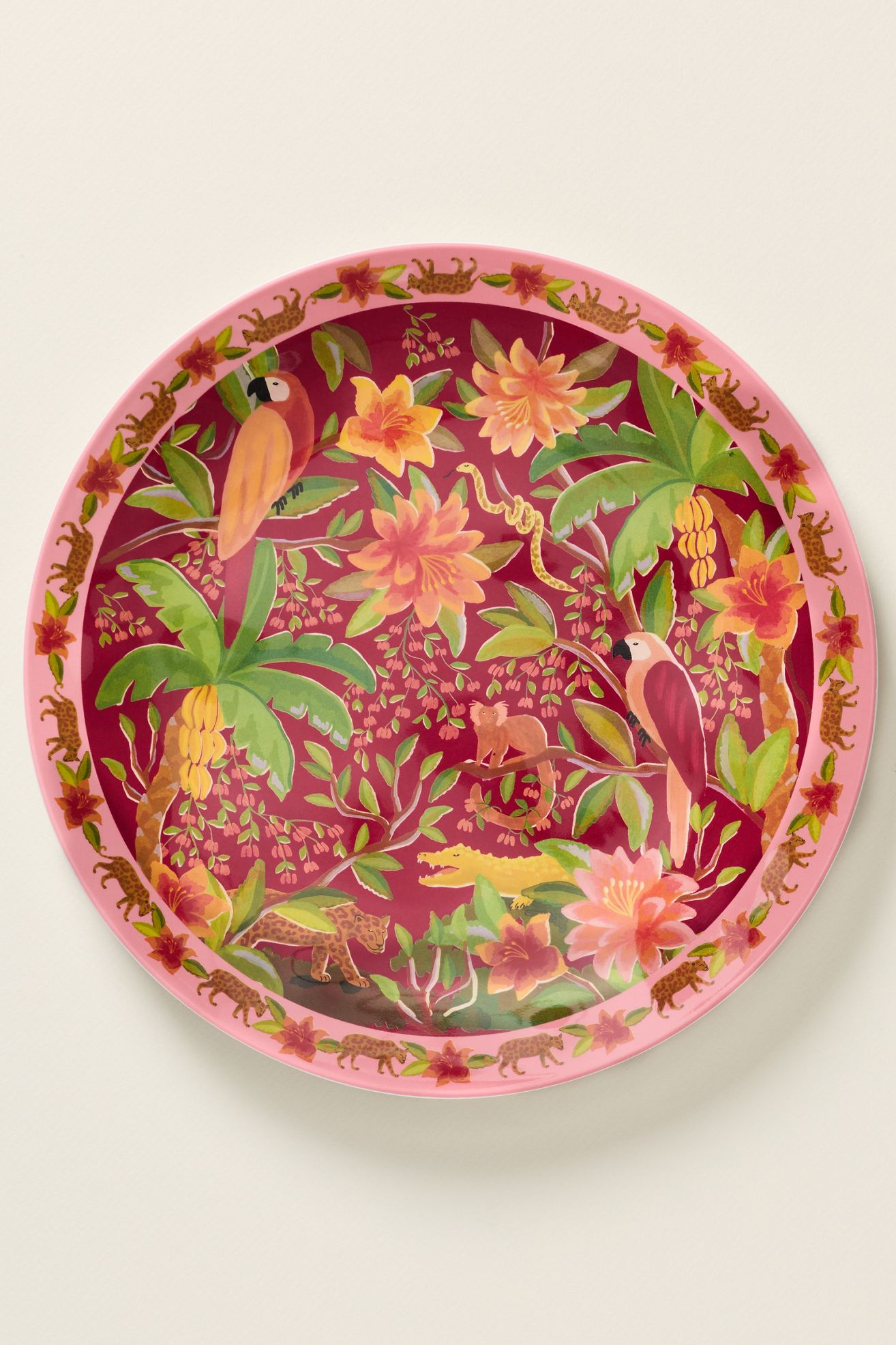 Farm Rio x Anthropologie Melamine Dinner Plates, Set of 4 - Red Berry, Set Of 4