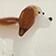 Chien brun et blanc