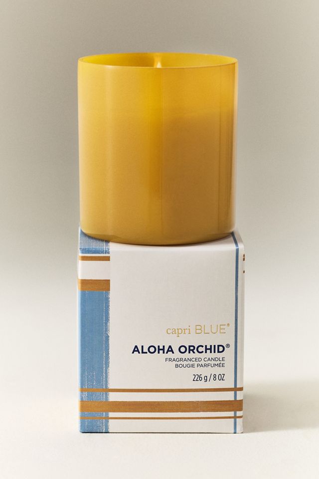 Capri Blue Floral Aloha Orchid Nautical Boxed Glass Candle #2