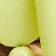 Natural/Lime