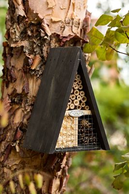 A-Frame Native Bees Insect Hotel