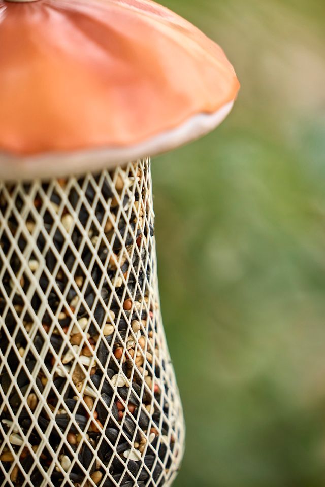 Mushroom Bird Feeder #1